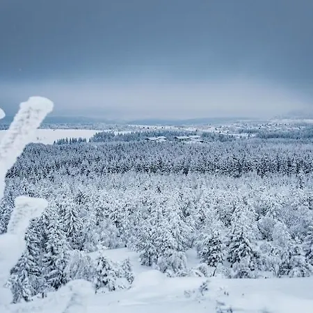Zugspitze Glueck.auf * Waldidylle