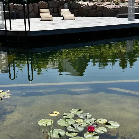 Zugspitze Glueck.auf Waldidylle